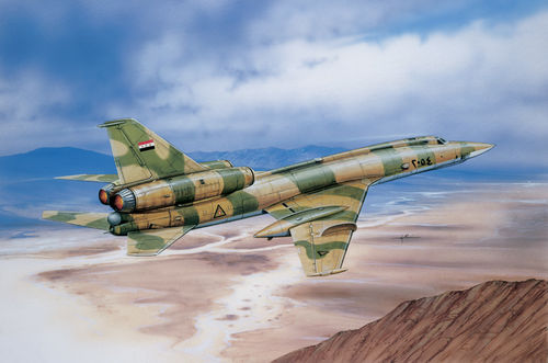 TU-22 Blinder - Image 1